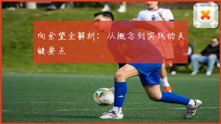 向余望全解析：从概念到实践的关键要点