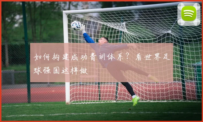 如何构建成功青训体系？看世界足球强国这样做