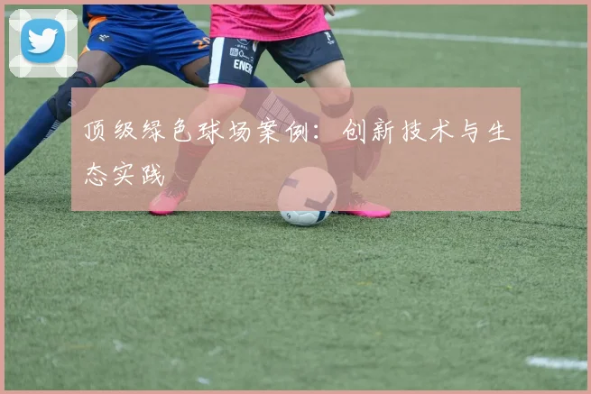 顶级绿色球场案例：创新技术与生态实践