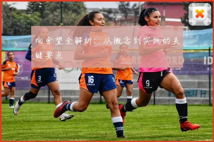向余望全解析：从概念到实践的关键要点