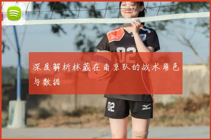 深度解析林葳在南京队的战术角色与数据